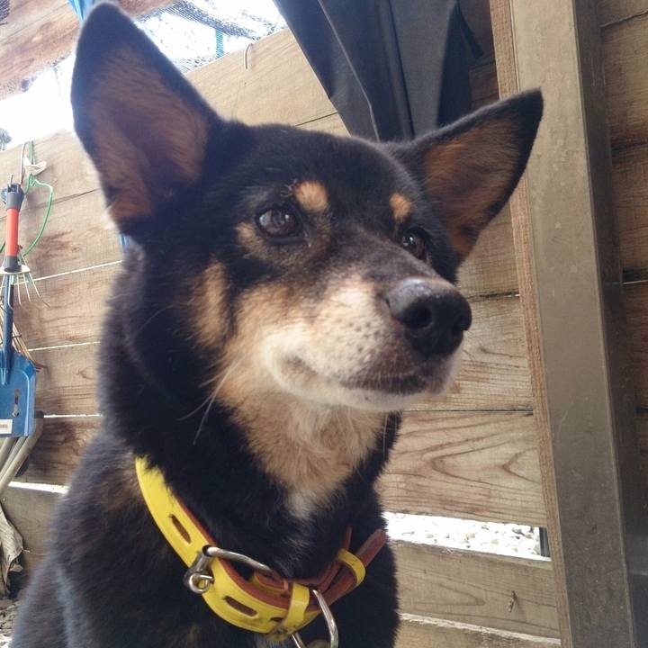 31fe914a 2d85 4f6a 8656 abfcddee93e7