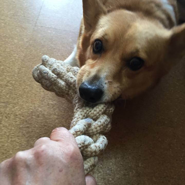 31feb947 c84f 49b8 9815 eb607ed41afb