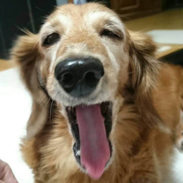 31ffa8ce 85ef 44f8 a025 d5f1704affcf