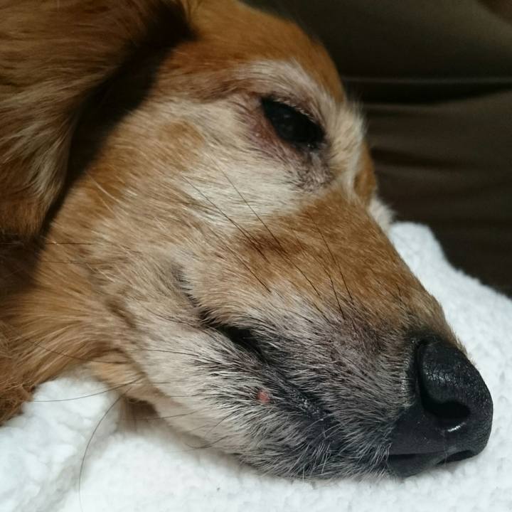 31ffd691 a4be 4ce4 8f2c c9ef34082c26