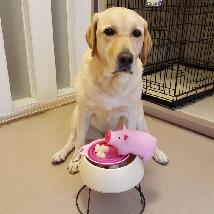 31ffe16f 6767 4085 95ba 4bab33426d03