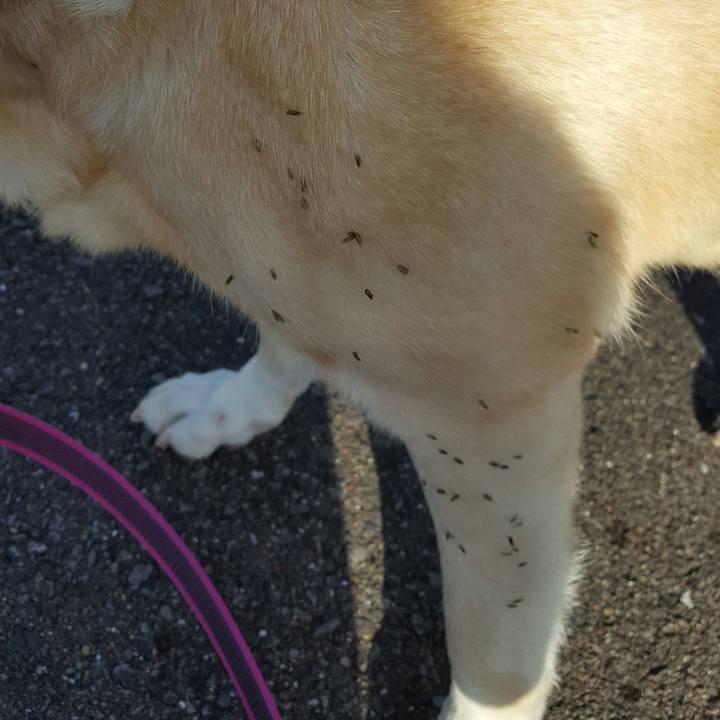 31fff5d9 6163 4239 874d 7aeb27f0af1b