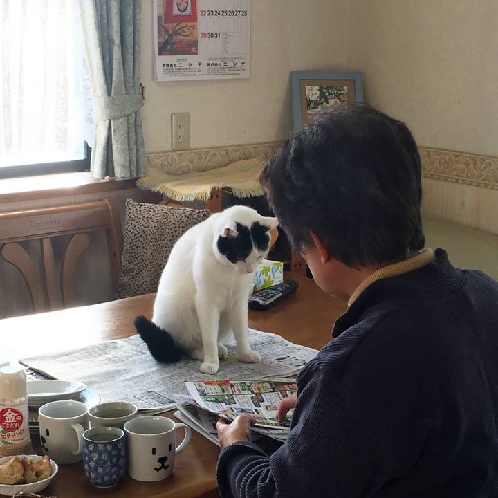 32001a15 9570 4ea9 baf8 48450dfc805b