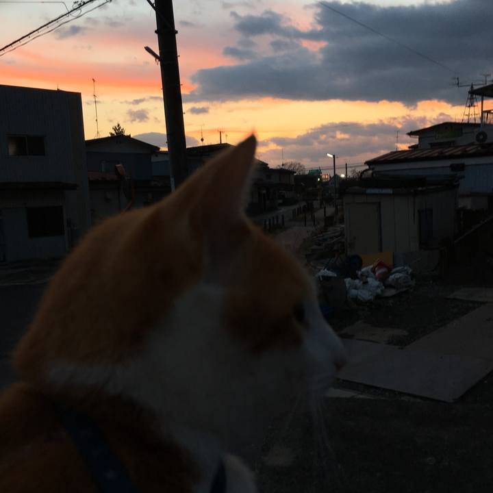 32003677 8564 40d9 b7b7 a93486ee7ca9