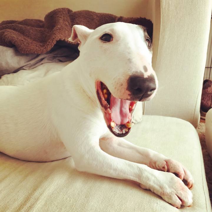 32004e84 cb80 4f13 910c fff44baf22a8