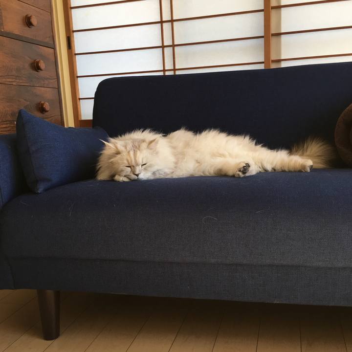 320099ce d3cd 480f b30e 5463948d0fec