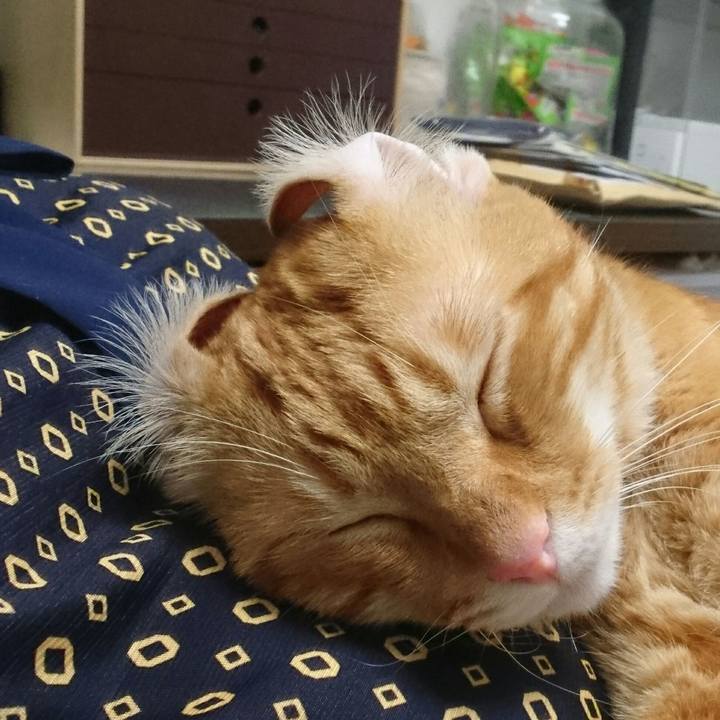 3200bb75 9e10 4136 8f00 54fbe2f68520