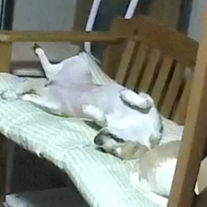 3202fce2 2d78 41b6 bb36 9a7d2199a0ce