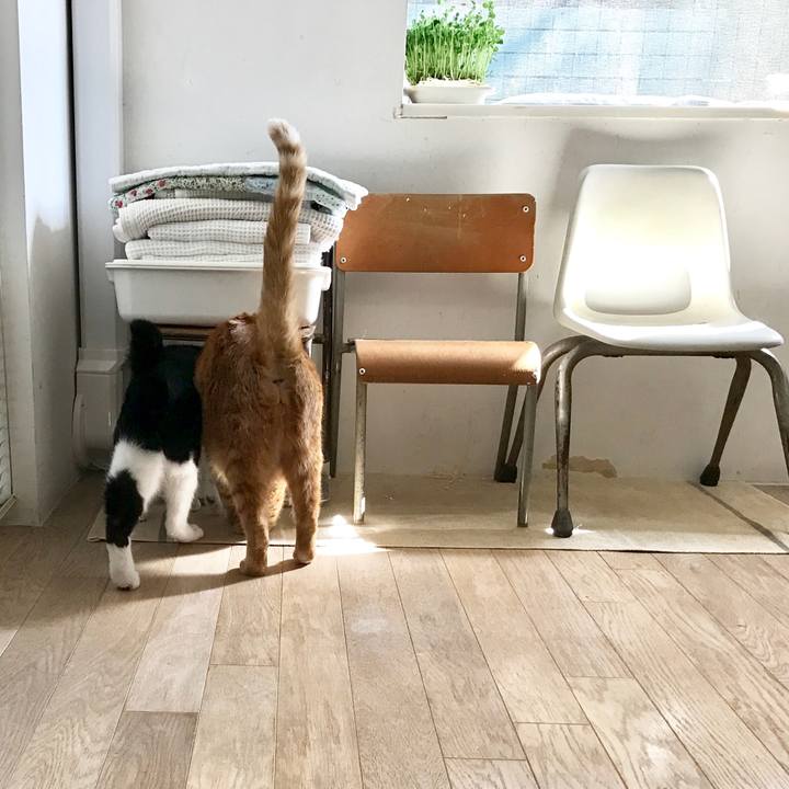 32034e36 658d 4470 bf38 ca1fe7156630