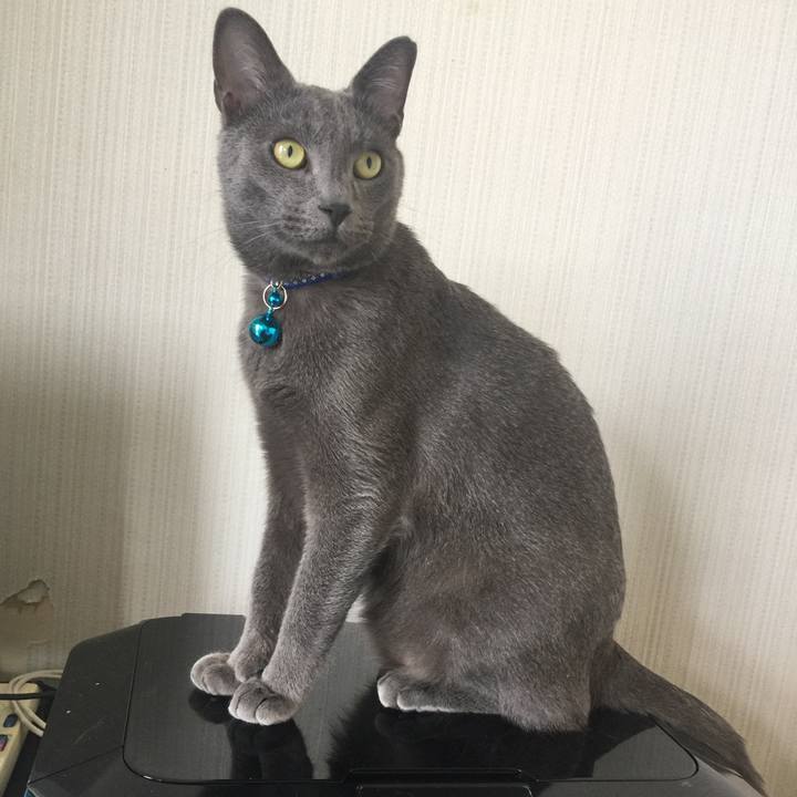 32034f2a b5d4 4691 96fe 802c8c8d5ed1