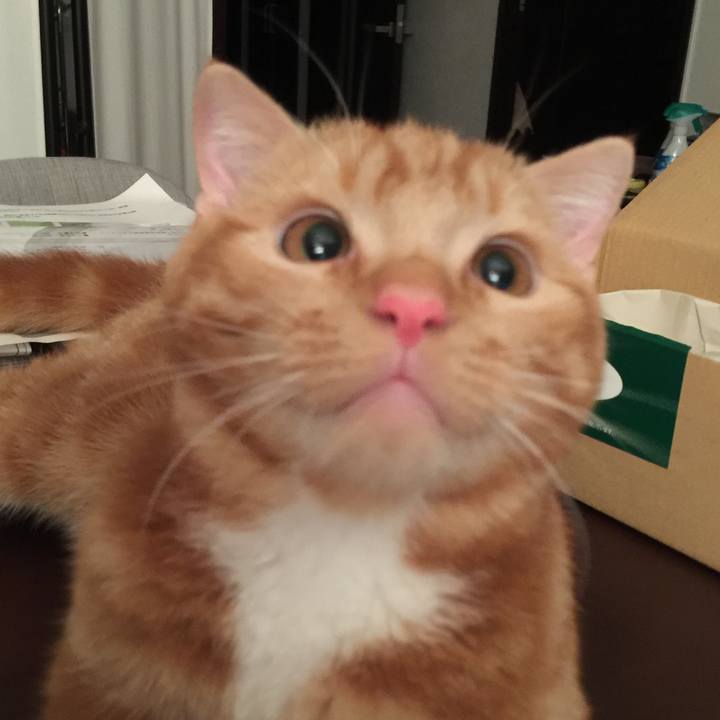 320410f6 44cc 4044 8e44 4c8438e28808