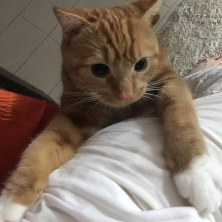 32049c0d e5c3 4ad0 91fb 4bae43e9fa47