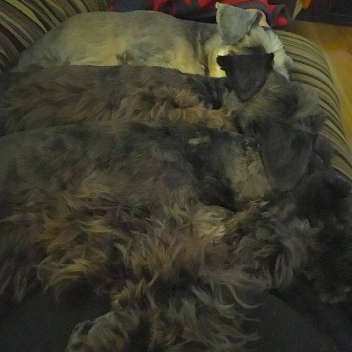 3204db94 63b7 40e2 b119 0a01753af108