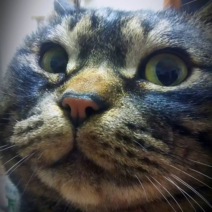 32050bca e39e 45b1 a1e4 9c0fef432306