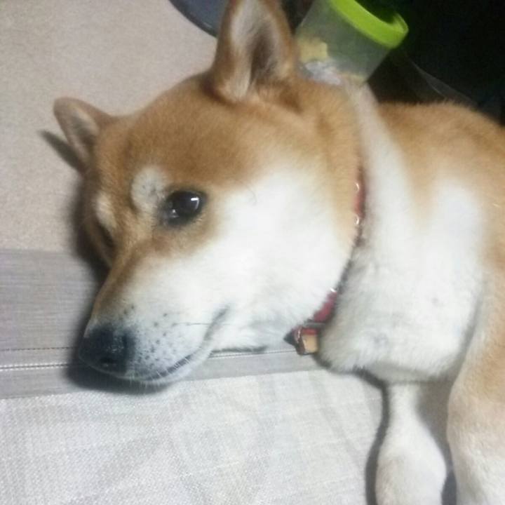 3205127e f73f 49e9 b195 79e2d4fc1cec