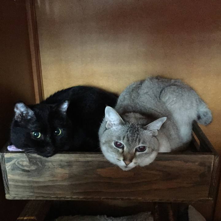 32059237 8469 422a b60e bf8e83e810bf