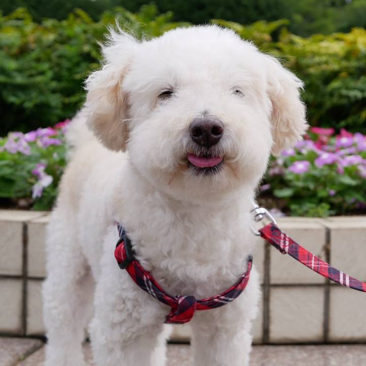 3205f88c 1756 4776 bdc4 a62430676ad0