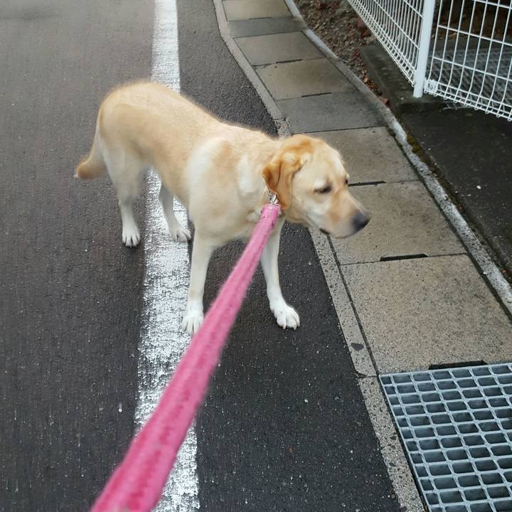 3206cb0d 1903 4ca5 8b16 3f70f406bc63