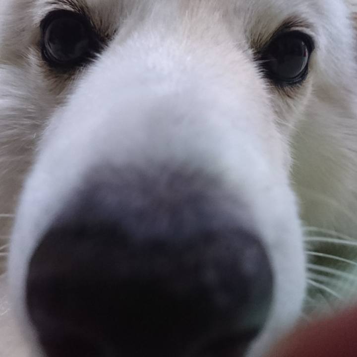 3206cc06 f3cf 4388 8edb 50d49e21d31f