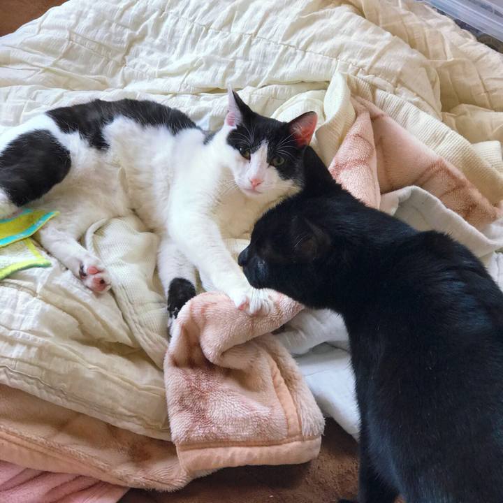 3206d114 d7b4 4ecd 9288 2cd3f03a6baa