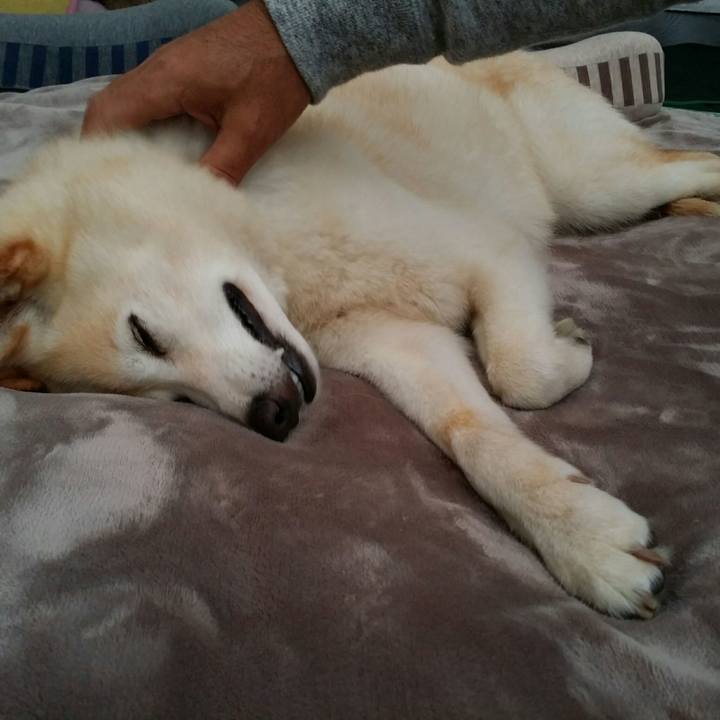 32072956 340c 4e61 bd82 2b099156f17e