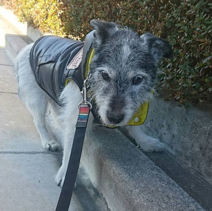 32074b90 4981 419d 959e 8d2fe3e2029d