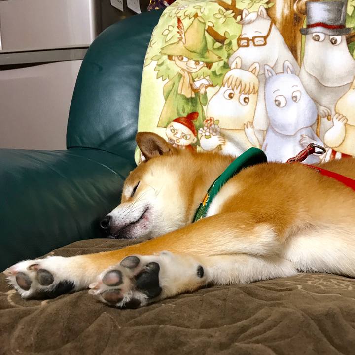 32076683 6902 403f 8870 8a25b1c455ce