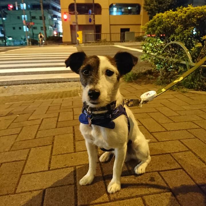 32088d70 fbaf 4681 8b86 5120750d9721