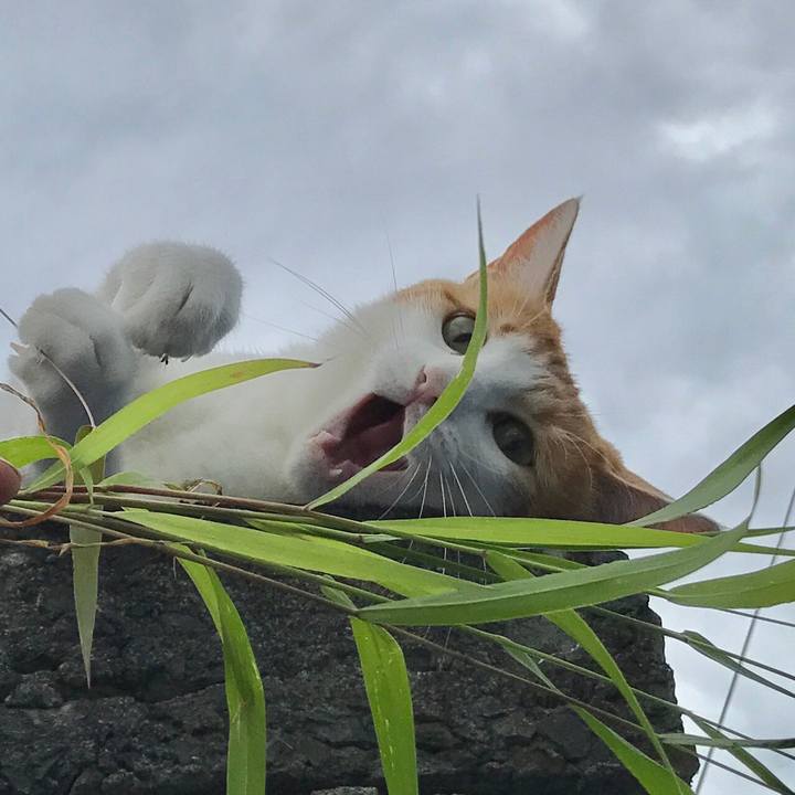 320992cd 1059 4bb3 b249 3c95bec50ab3