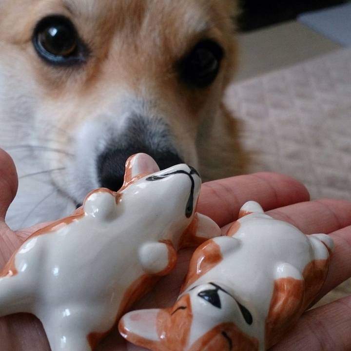 320a3712 52a2 4faf b424 3e2ae3308b9c