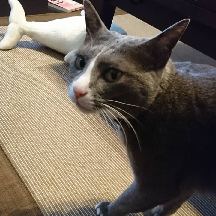 320a8163 3b21 4adf aa5d c1bd23b3366a