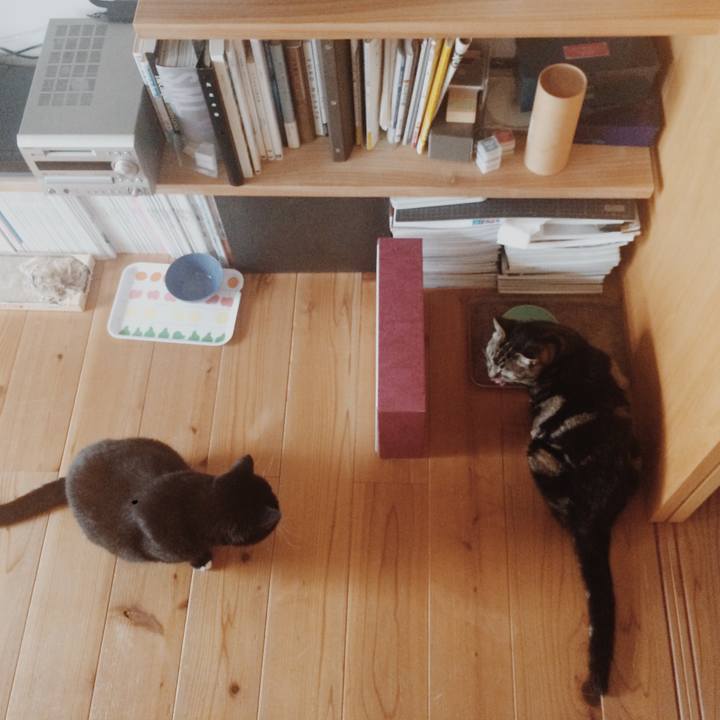 320aef52 ae93 4581 bfe7 c92ec7c5f4d7