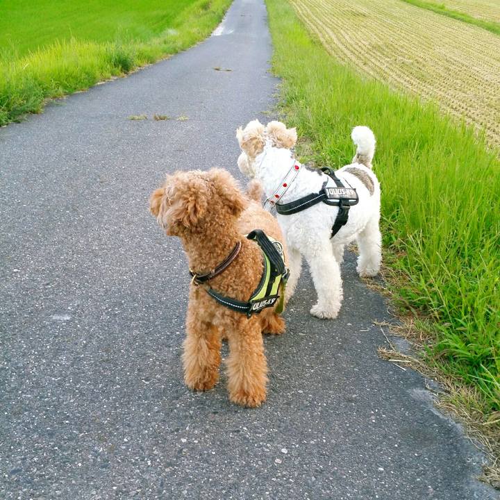 320b6faa 22fd 4e58 a59a 2debdd1ba8e9