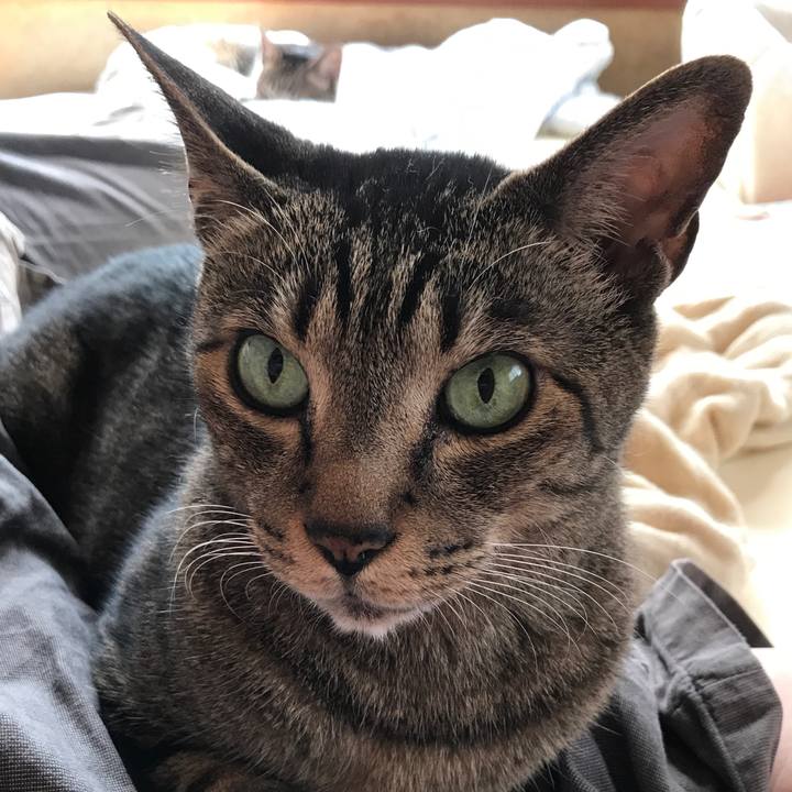 320c5e2b 9222 49f7 b0d4 ca747b8b9708