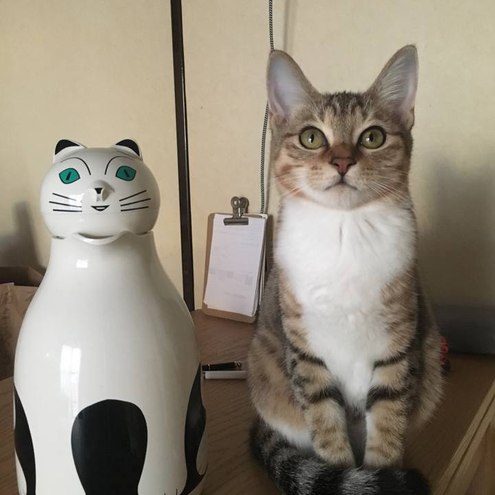 320d2efa d2f6 4c66 adec 34afd150571f