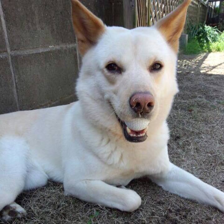 320d8e32 4c1e 41ff 9e3a ae3e49a01ed9