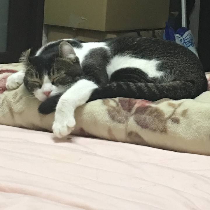 320ddc57 1558 43c0 b520 7402e175352d