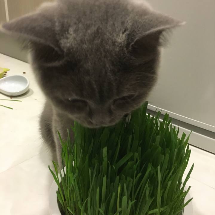 320df626 5f71 4d30 a921 87a602f23c68