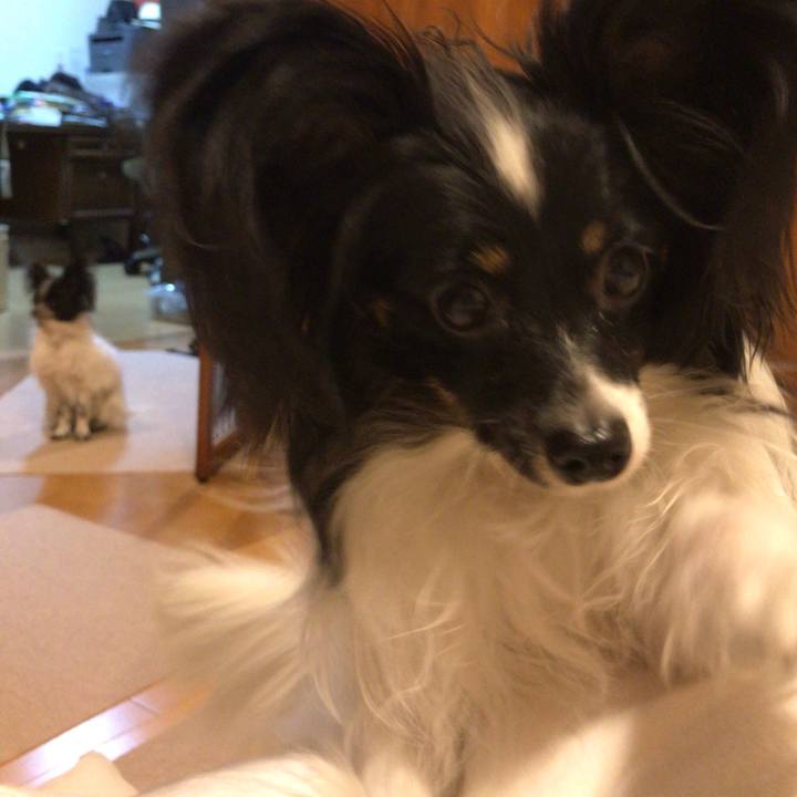 320e58c3 35d4 4d22 b95d b259904a7c23