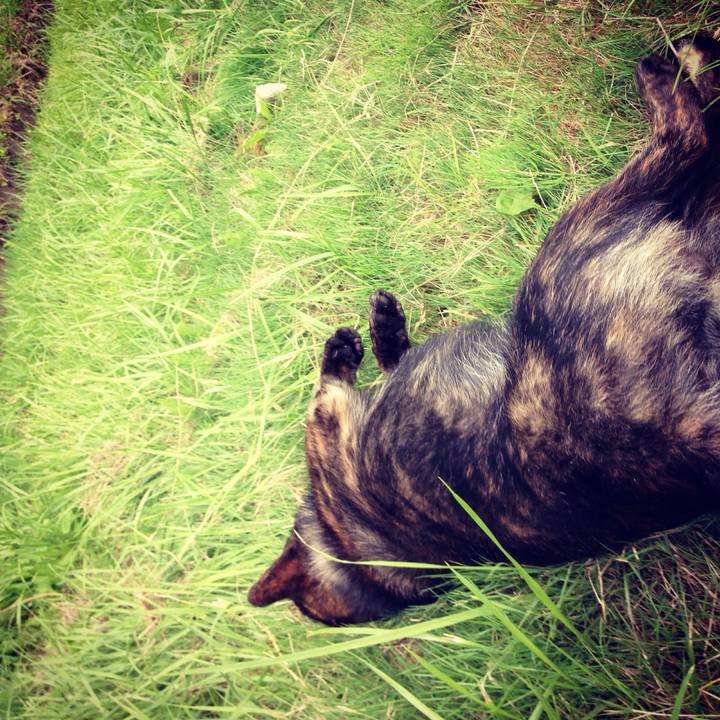 320e8873 015b 4042 a11d 02ce7019f12b