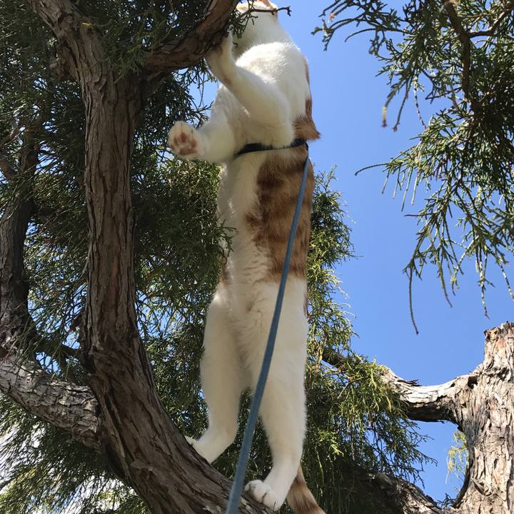 320e99d0 d665 46e0 9446 f3065f6788cd