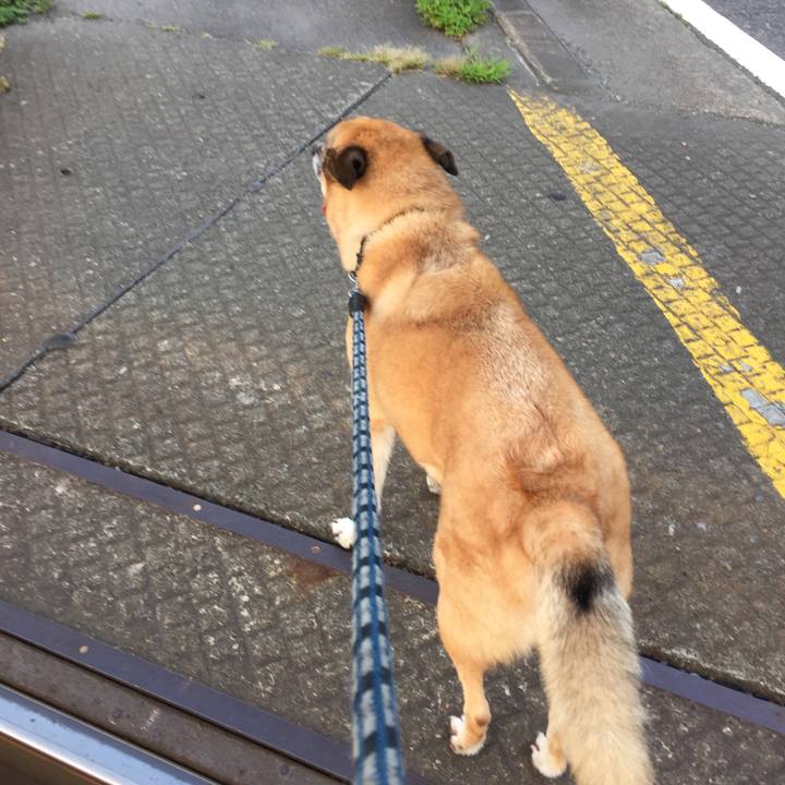 320eace0 f993 41b4 8e56 2b3cfac3d553