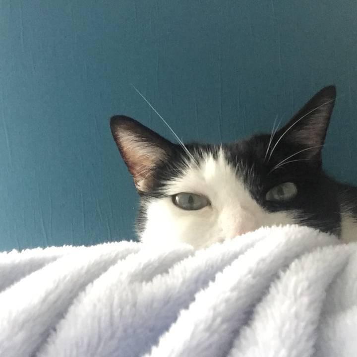 320ec01a 6415 4178 bbcd a4cbd1b426e2