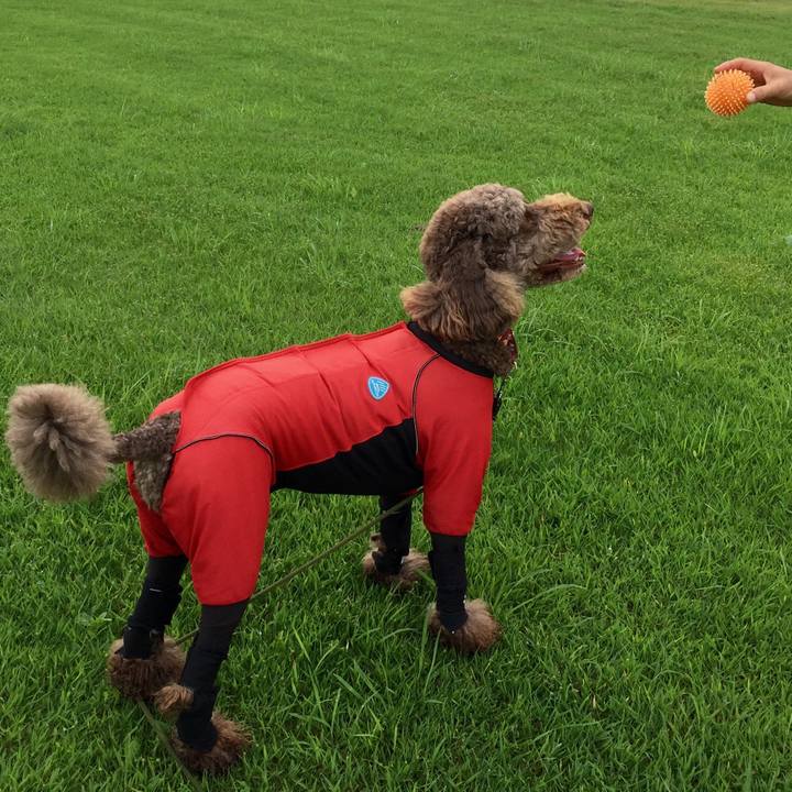 320ec130 9ccc 40f2 8075 77c0e0da5d70