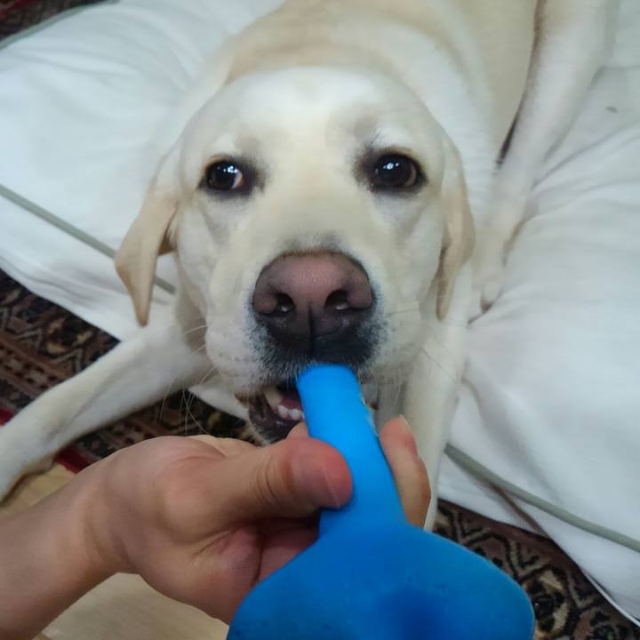 320f2d6a 3915 4068 9266 56eb873d1b78