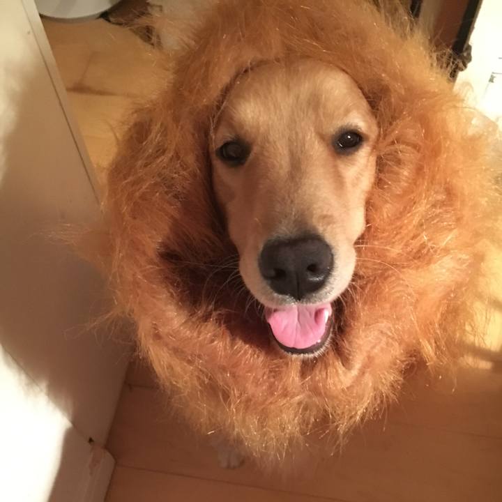 320f2fe3 9195 4f90 8283 5510482dff13