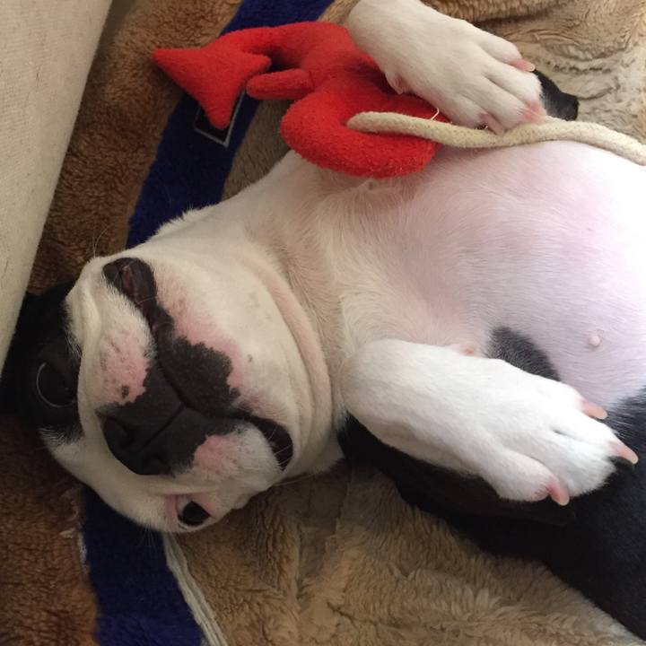 3210207a 5e5c 41aa b4bb 2d86a306a7e0