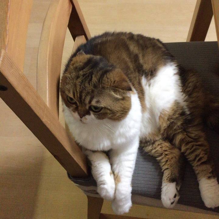 3210495b 0070 4ba6 82d4 94402b5fda40