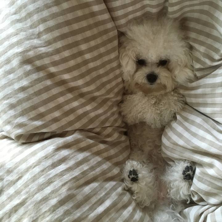 3210579c 721c 417b a059 44356c04a4a9