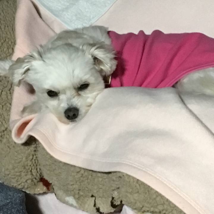 32108b7d 0273 4d60 a9dd feadb4637988